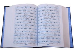 Maani ul Quran – Darussalam